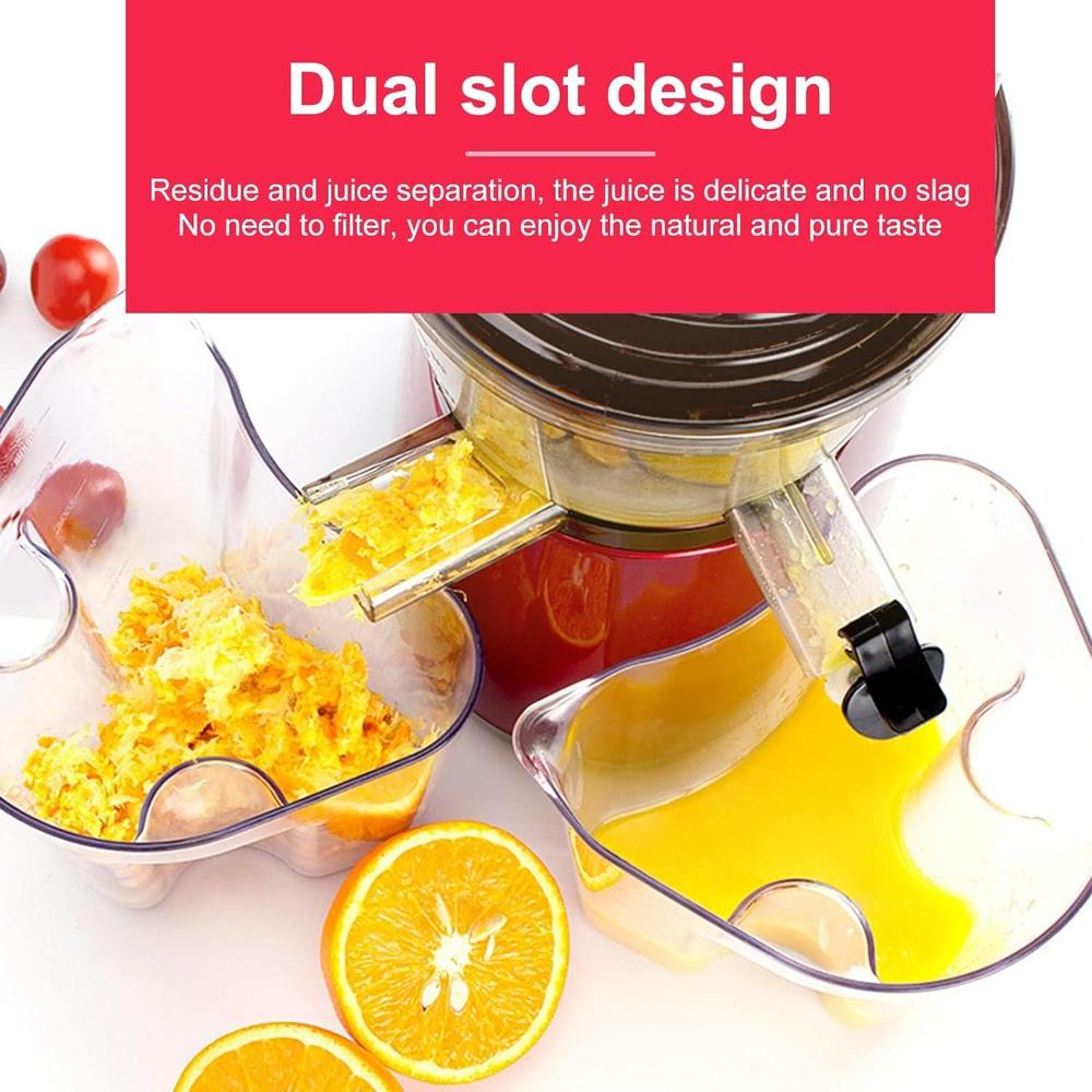 300W Slow Masticating Juicer for Fresh & Healthy Juice