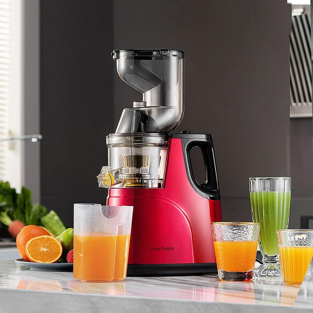 300W Slow Masticating Juicer for Fresh & Healthy Juice